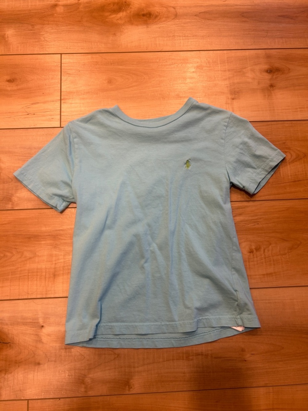 Polo by Ralph Lauren Pale Blue Kids Crew Tee with Green Pony